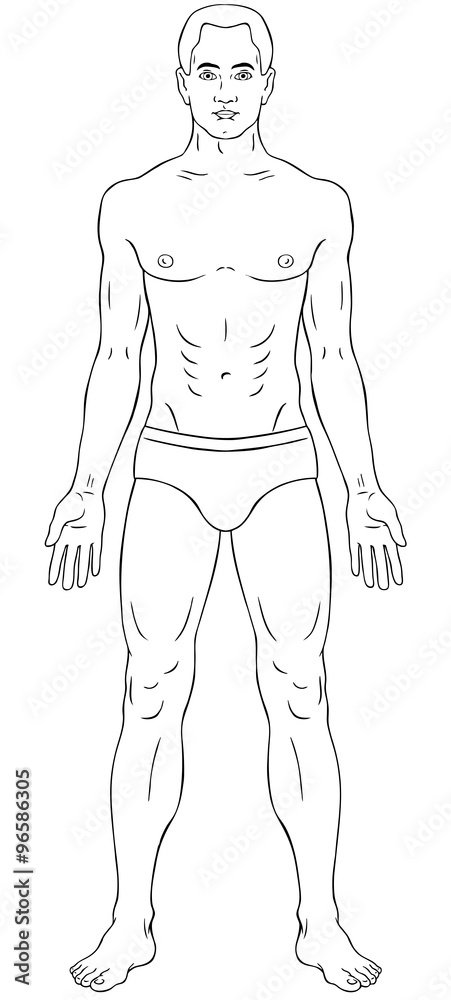 Vettoriale Stock Man body outline | Adobe Stock