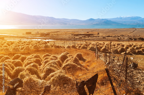 Hay at Tsomoriri Wetland Conservation Reserve photo