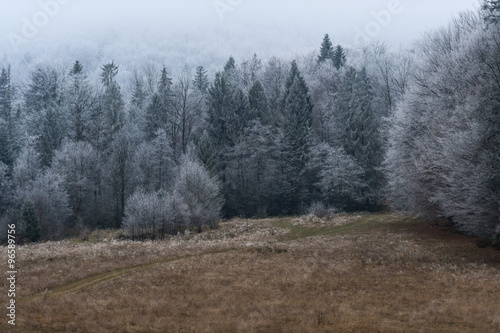 First snow in the mountains. Winter landscape.