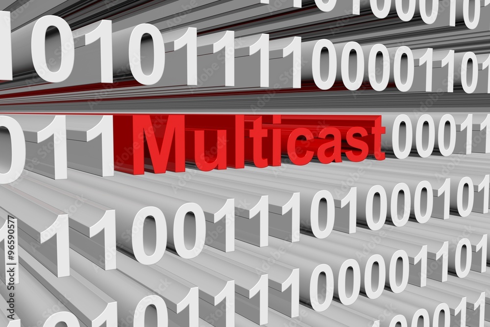 Multicast is presented in the form of binary code