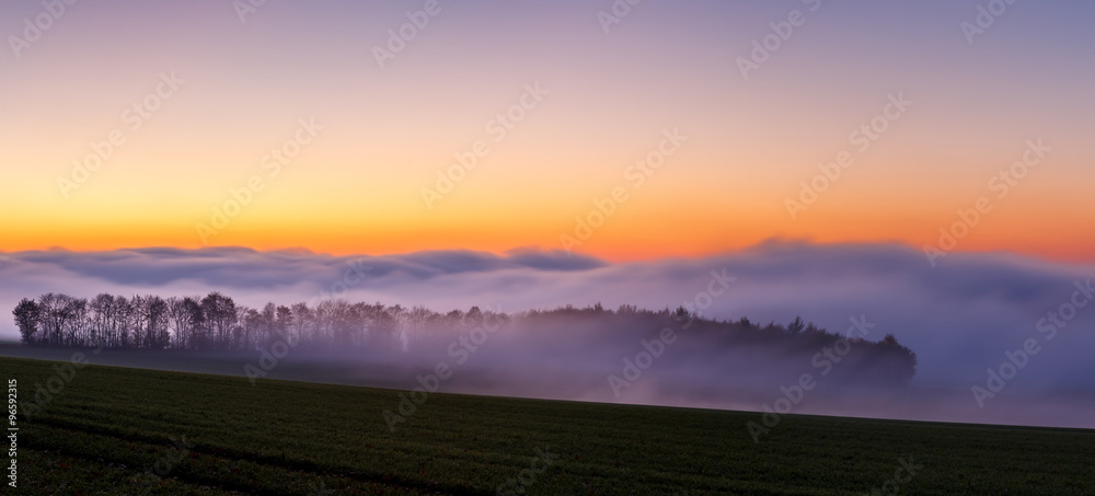 Obraz premium Foggy Sunset in Wintertime