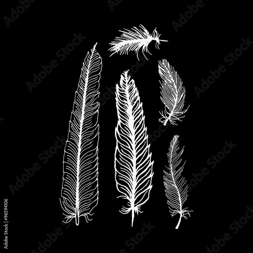 hand draw set of feathers on a black background