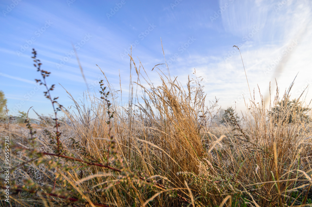 Obraz premium blue sky