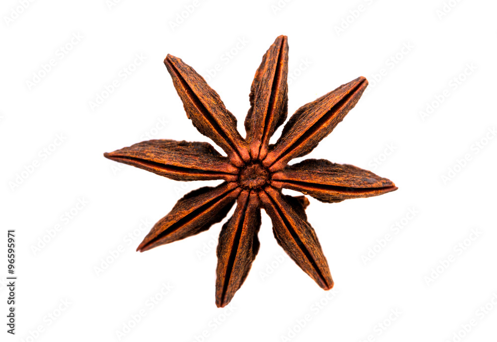 star anise star anise