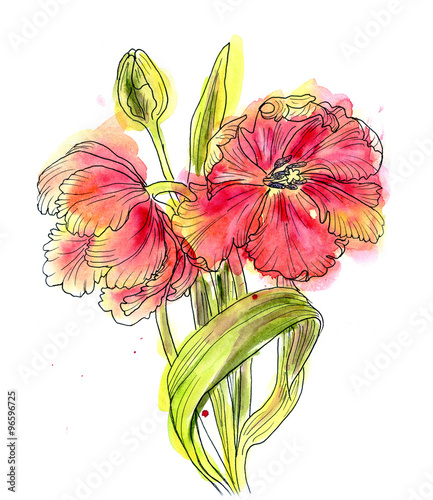 Fototapeta hand drawn decorative tulips for your design