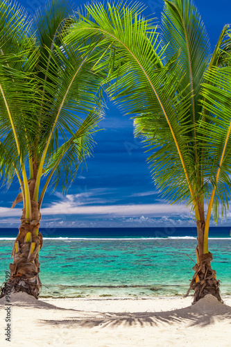 Two palm trees over stunning blue lagoon, Cook Islands