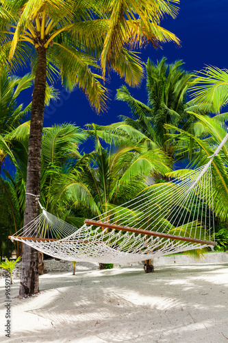 Empty hammock in a shade of palm trees on Cook Islands