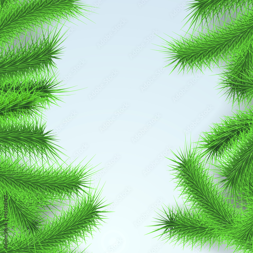Green fresh Firtree branches layout