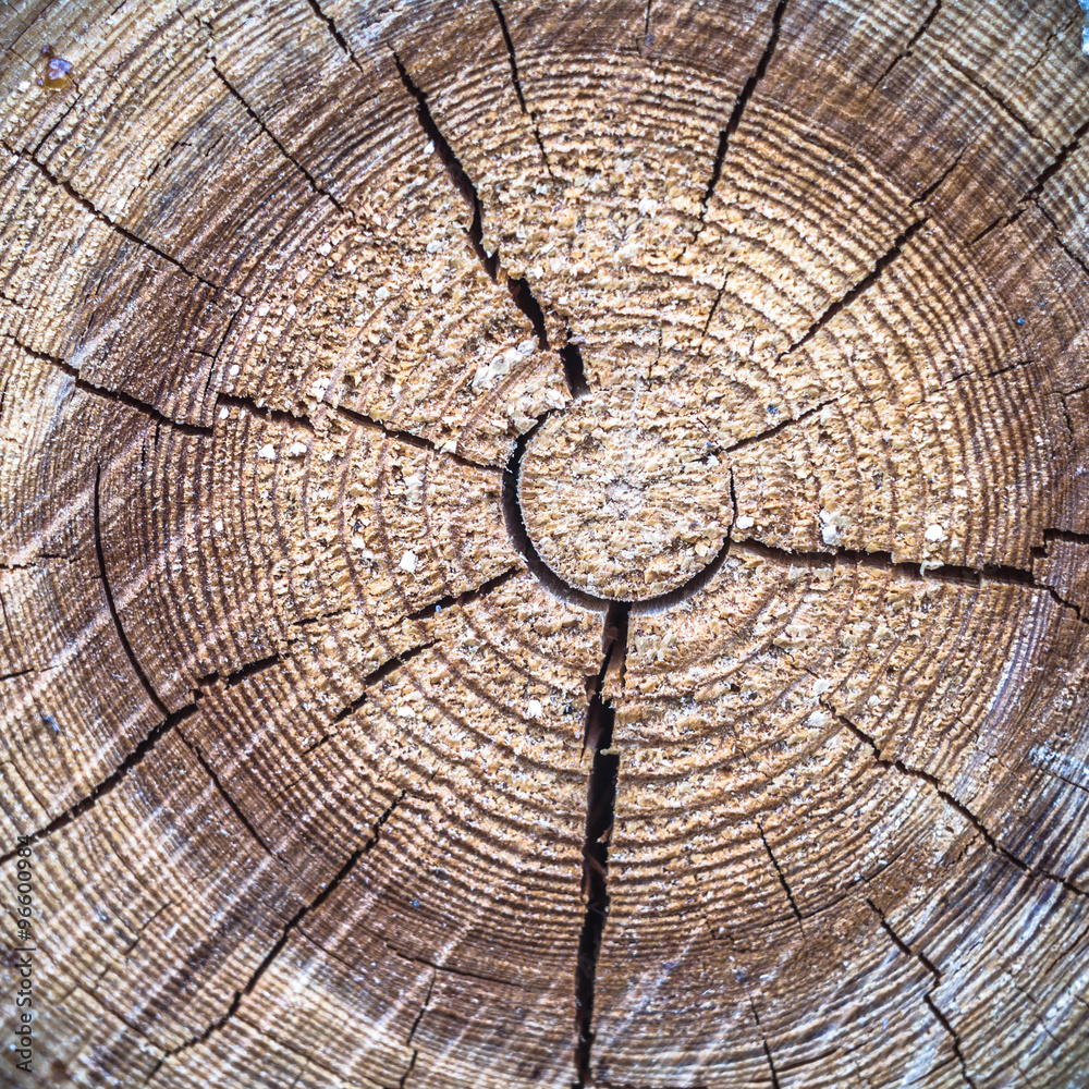 Naklejka premium wood