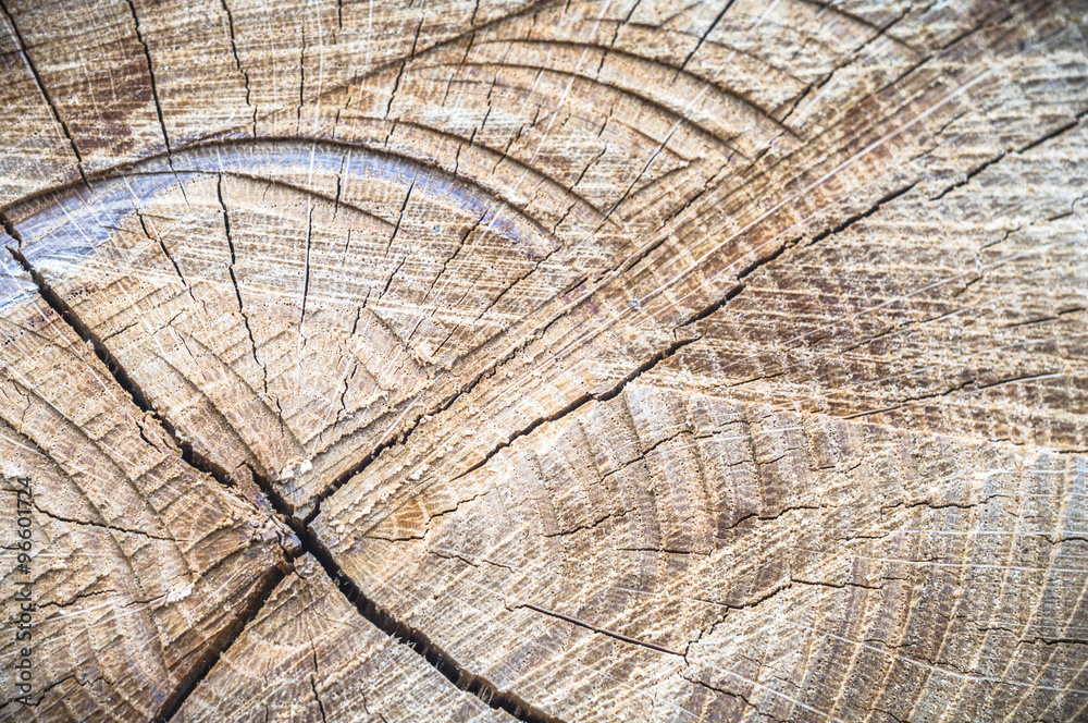 Naklejka premium wood