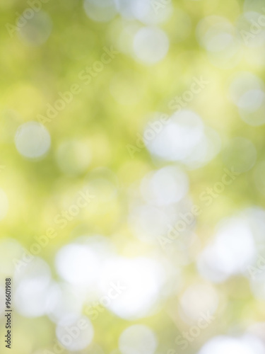 Abstract blurred Soft Blur Background Eco friendly Environmentally Investment Insurance CSR Ecology Ecofriendly Go Green White Clean Management Organisation Office concept.