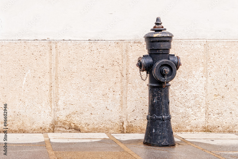 Fire hydrant vintage style