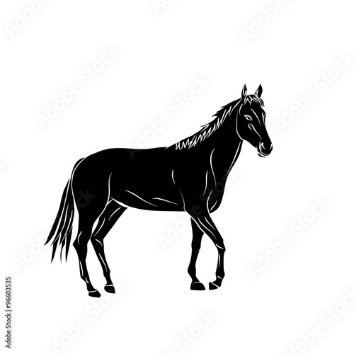 Vector silhouette. Cartoon horse. © alesikka