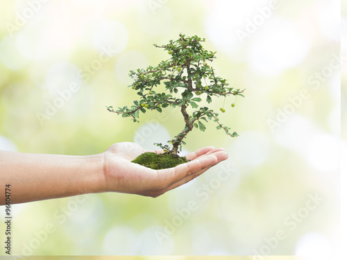 Human hand holding medium green plant with soil on blurred natur