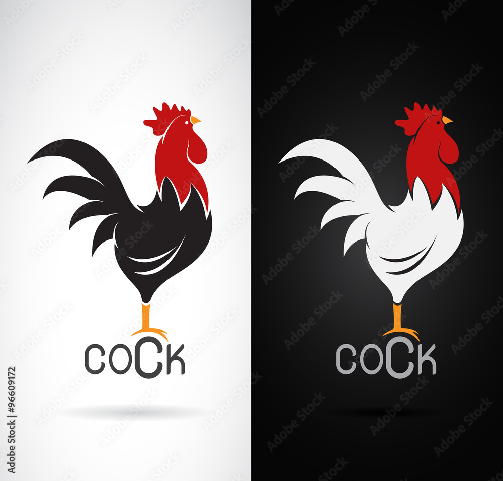 Vector image of an cock design on white background and black bac - obrazy, fototapety, plakaty 