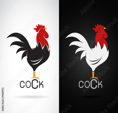 Leinwand Poster Vector image of an cock design on white background and black bac