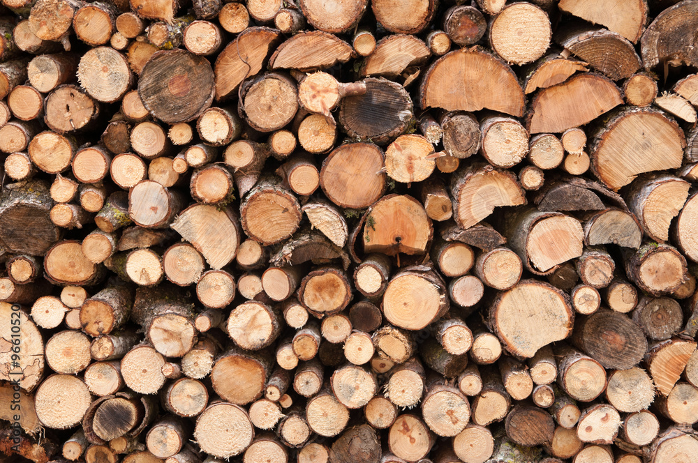 Wood Wood