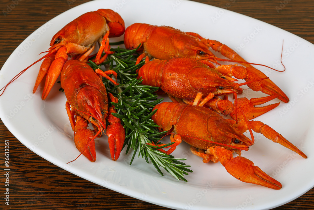Crayfish Crayfish
