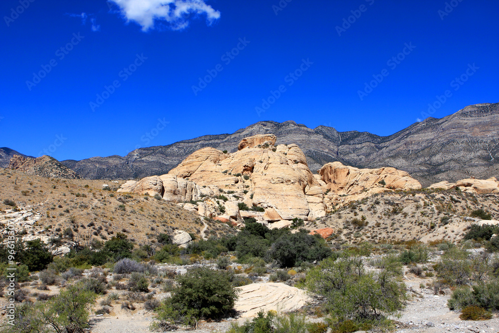 Colorful rocks at the Red Rock Canyon National Conservation Area in Nevada, USA