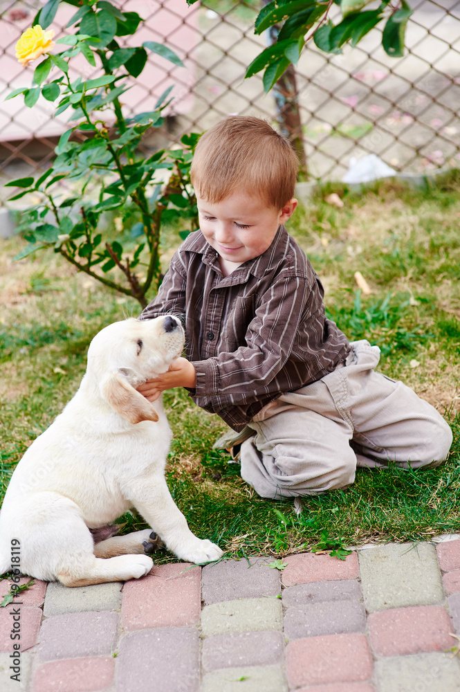 little boy playing with a white Labrador puppy