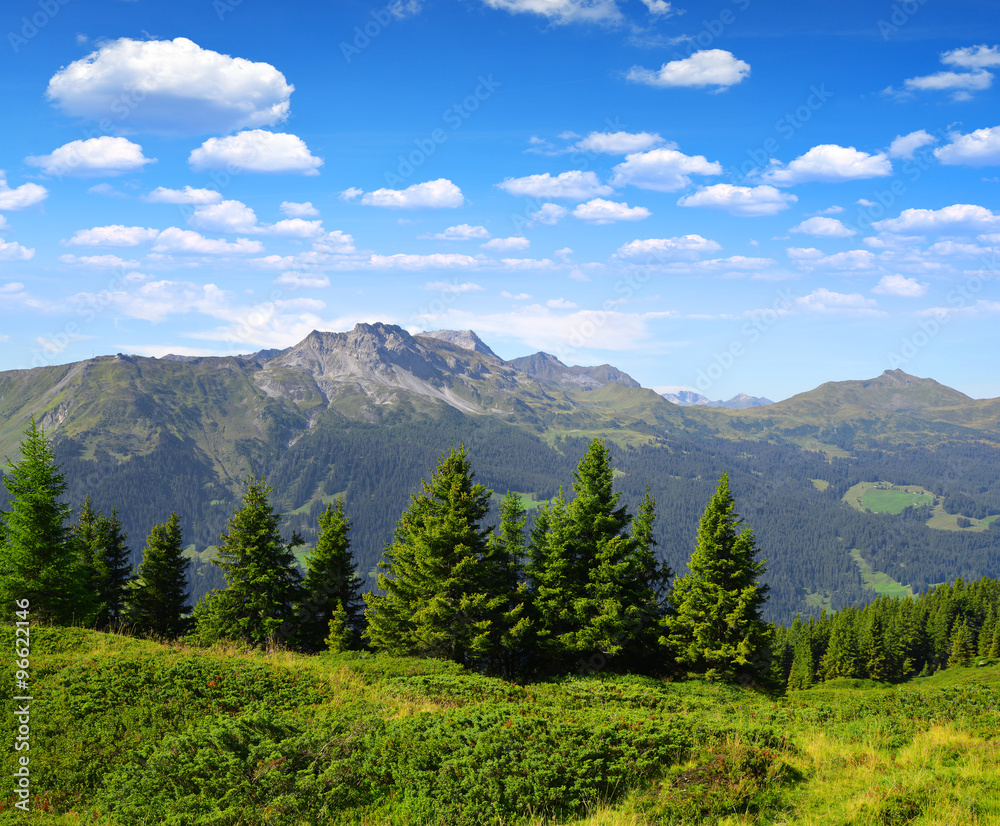 Mountain Casanna and Weissfluhjoch of the Plessur Alps, Klosters in the canton of Graubunden. Switzerland