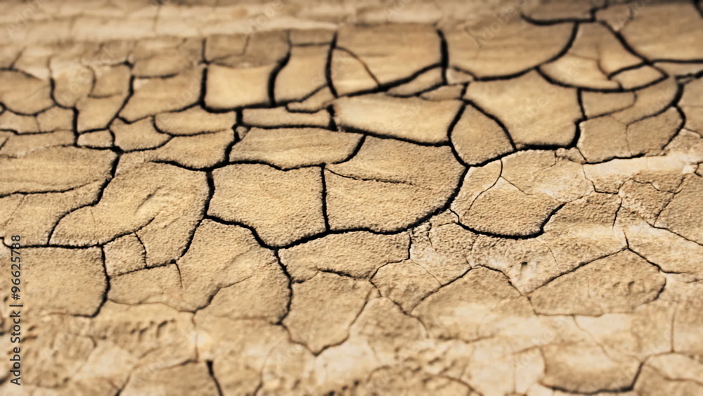 Arid and cracked land - Dolly Shot