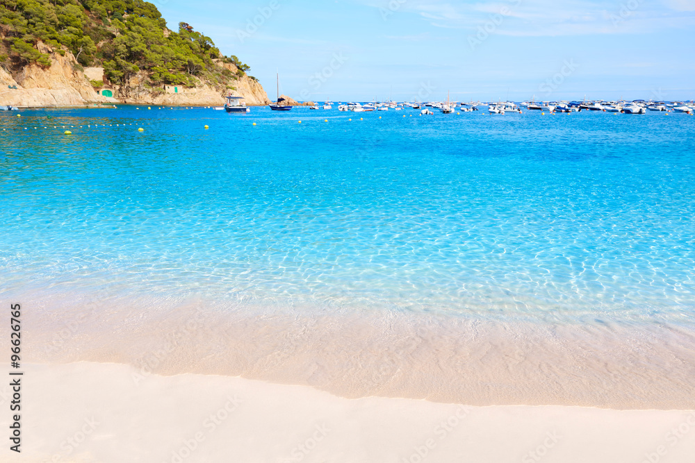 Badia de Tamariu beach in Costa Brava Parafrugell