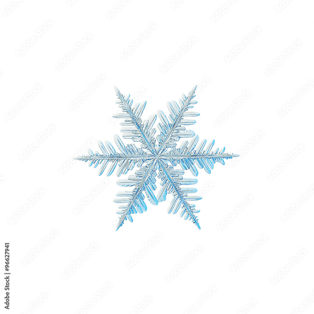 Real snowflake macro photo: medium size fernlike dendrite crystal, isolated on white background Real snowflake macro photo: medium size fernlike dendrite crystal, isolated on white background