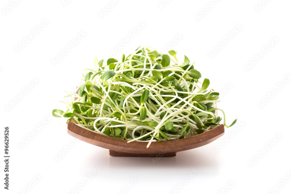 Sunflower Sprouts Sunflower Sprouts