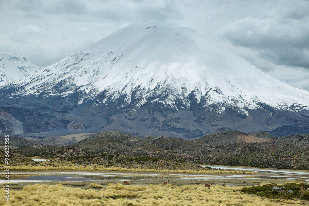Fototapeta premium Snow capped Parinacota volcano