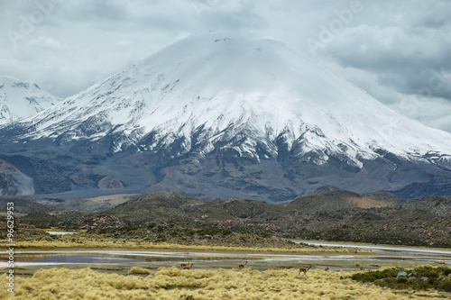 Snow capped Parinacota volcano