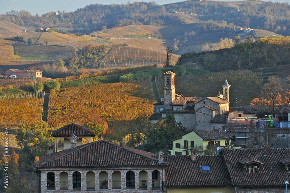 Fototapeta premium Le colline delle Langhe a Barolo, Langhe - Piemonte