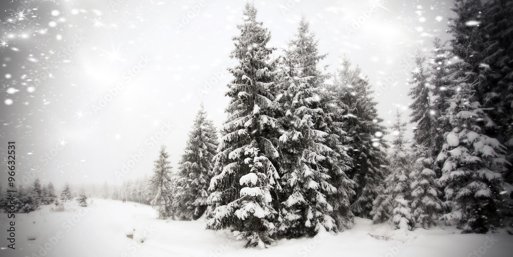 Naklejka premium Winter landscape - snowfall in coniferous forest