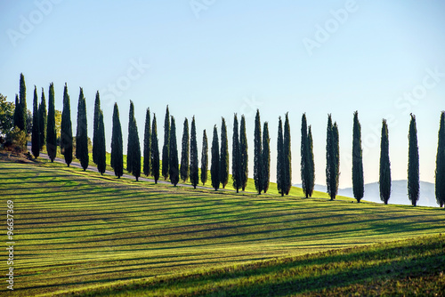 Canvas Print Tuscany landscape