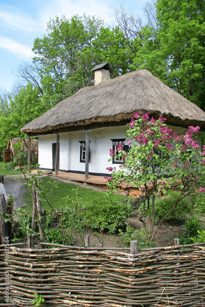 Old adobe house under a thatched roof near the lilac bush Old adobe house under a thatched roof near the lilac bush