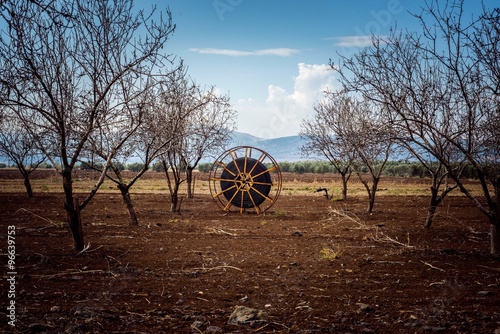 north israel