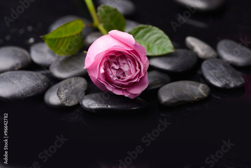 Lying down pink rose with therapy stones 