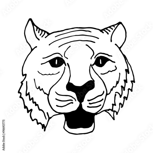 hand draw head  tiger in black and white style