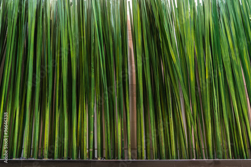 Artificial Onion Grass photo