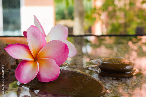 Touching nature with relaxing and peaceful with flower plumeria or frangipani decorated on water and pebble rock in zen style for spa meditation mood