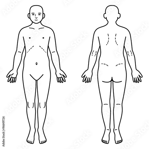 人体　正面と背面