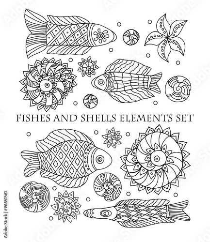 Fishes and shells elements set on white background