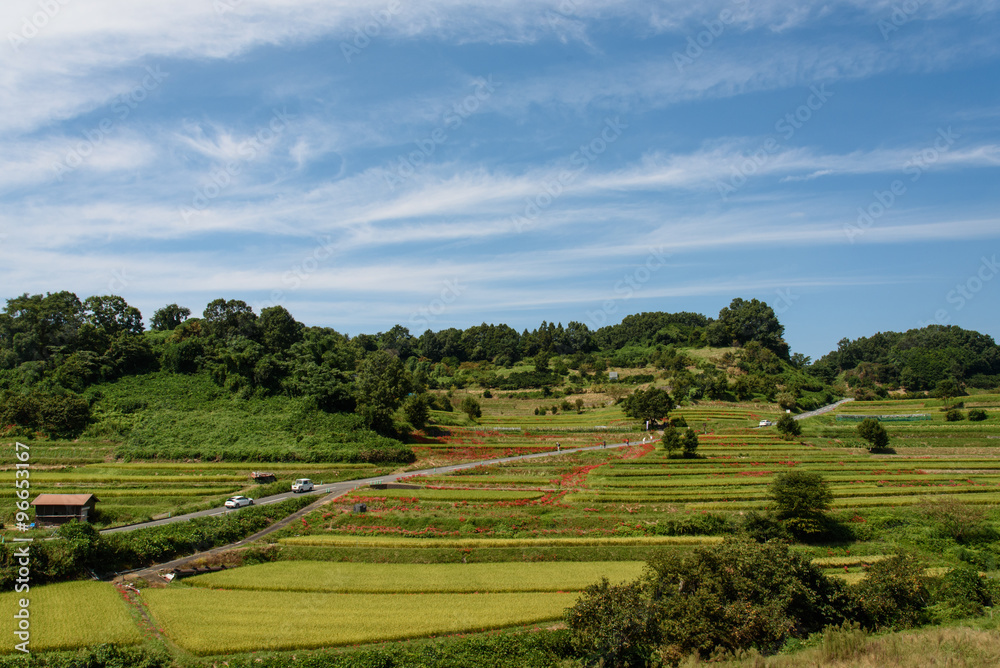 奈良県明日香村の棚田 奈良県明日香村の棚田