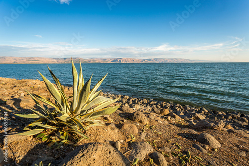 Fotografie Panorama of The Galilee Sea, Israel