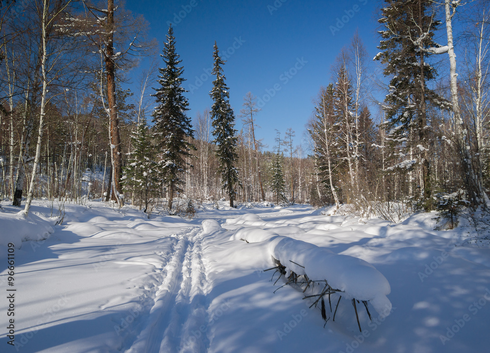 Ski track along the river
