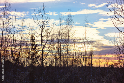 Winter sunset through the trees