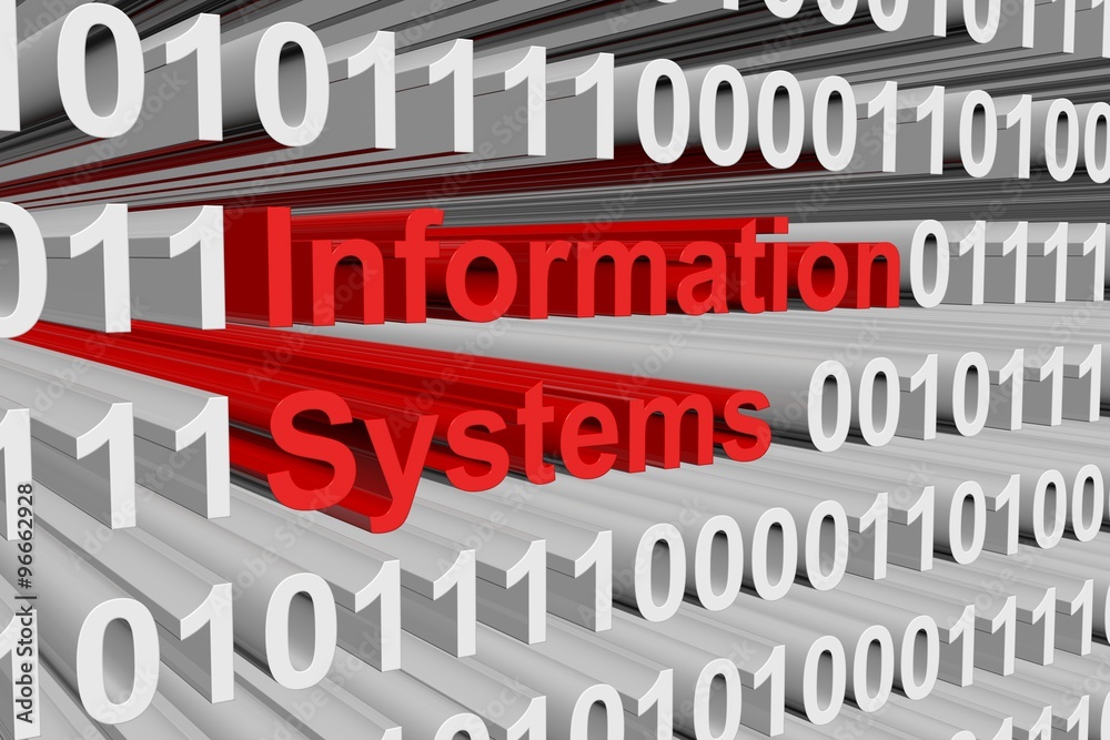 information systems presented in the form of binary code