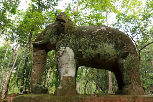 stone elephant-cambodia photo