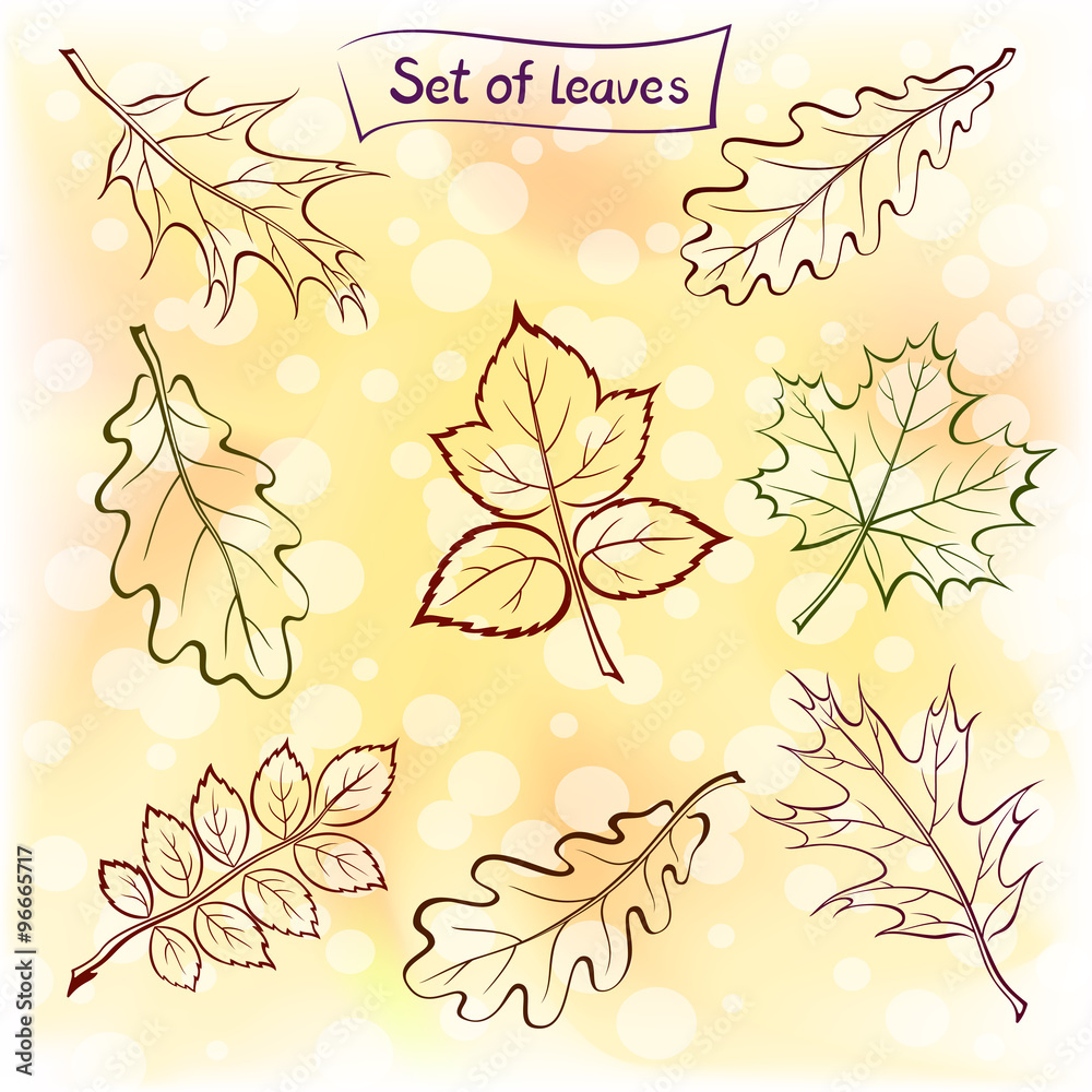 Leaves of Plants Pictogram Set Leaves of Plants Pictogram Set