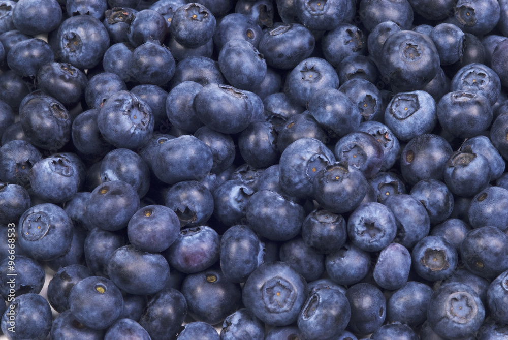 Group of blueberries on white background Group of blueberries on white background